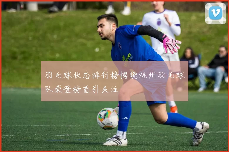 羽毛球状态排行榜揭晓杭州羽毛球队荣登榜首引关注
